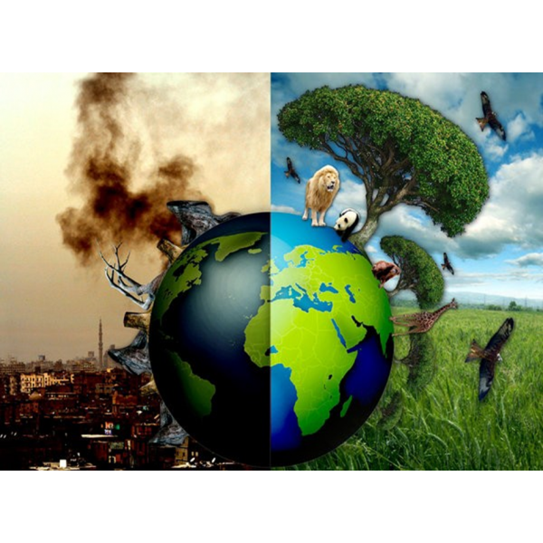 Ô nhiễm môi trường ảnh hưởng tới sức khỏe của con người như thế nào?